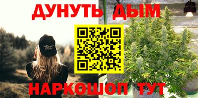 шишки Жуковский