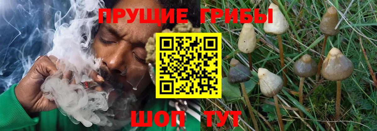Галлюциногенные грибы мицелий  Вход с VPN  Коряжма 