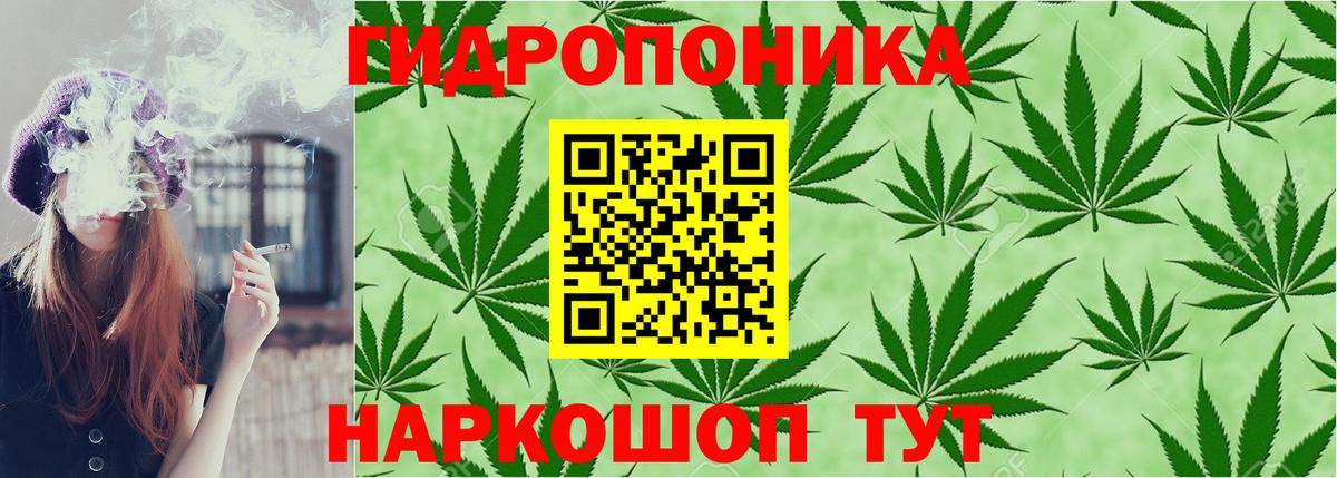 Канабис Amnesia  Конопля конопля  Коряжма  Вход с VPN  Марихуана сатива 